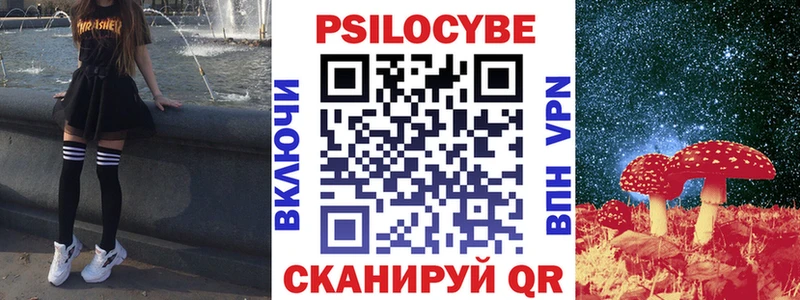 Псилоцибиновые грибы мицелий как найти наркотики Москва